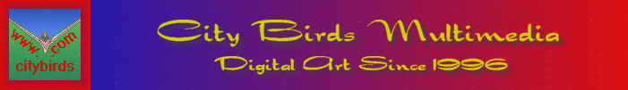 The City Birds Multimedia Banner