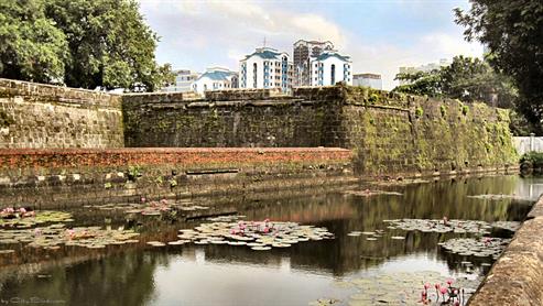 A Moat Turned into a Lily Pond at Fort Santiago, Manila, The Philippines