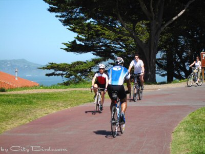 Bike Riders Enjoying the Day at Fort Mason, San Francisco
