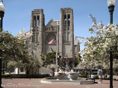 Grace Cathedral from Huntington Park, San Francisco