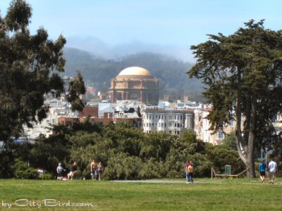 From Ft. Mason Fog is Seen Beyond the Palace of Fine Arts