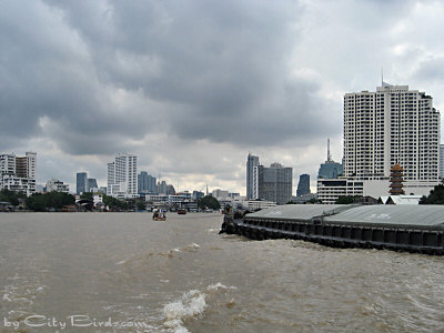 A City View of Bangkok from the Chao Phraya River