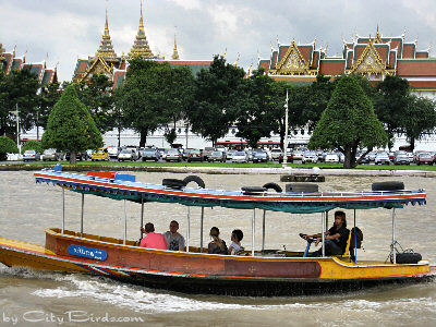 One of Many Water Taxis in Bangkok Thailand