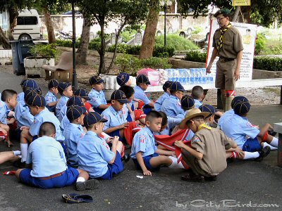 Bangkok Scouts Learning their Craft