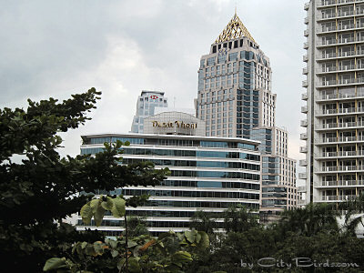 A Bangkok Thailand Skyline Scene