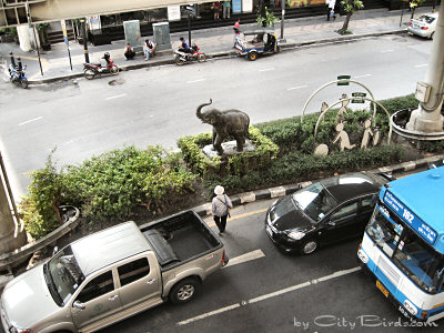 The Bangkok Elephant has been lost Motors