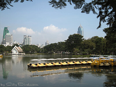 A Placid Pond Reflects Gleeming Bangkok Skyscrapers