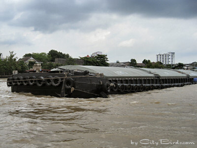 A Cargo Barge on the Chao Phraya River at Bangkok