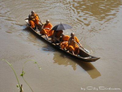 Buddhist Monks Crossing the River at Luang Prabang, Laos