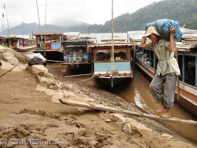 Unloading Cargo From a River Boat at Luang Prabang, Laos