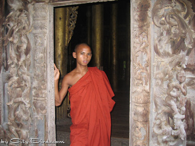A Young Buddhist Monk of Mandalay, Burma (Myanmar)