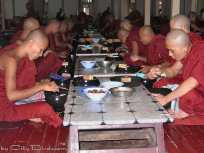 Dining Buddhist Monks of Mandalay, Burma (Myanmar)