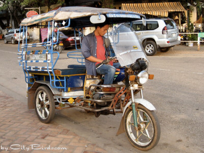 A Taxi Driver Waiting for a Fare in Vientiane, Laos