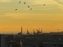 A view the San Francisco waterfront during a colorful sunrise with birds stretching their wings.  Taken with a Canon SX40 HS Camera