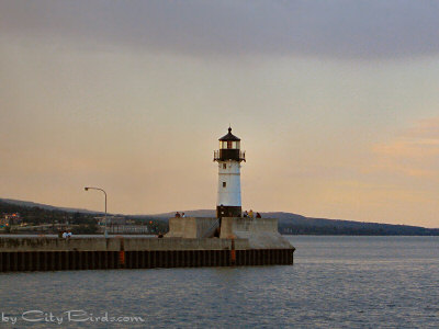 Lighthouse at the Duluth Minnesota Canal