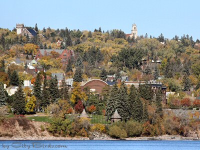 An Autumn Scene of the Old Fashionable Part of Duluth