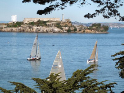 Sail Boats on San Francisco Bay & Alcatraz