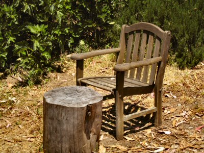 A Garden Chair at Fort Mason, San Francisco