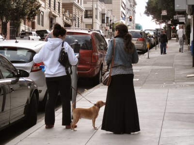 San Francisco Has Dogs