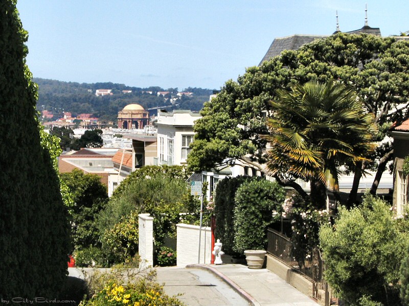 A Nob Hill, San Francisco, View
