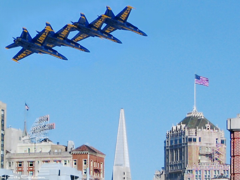 Blue Angels over San Francisco