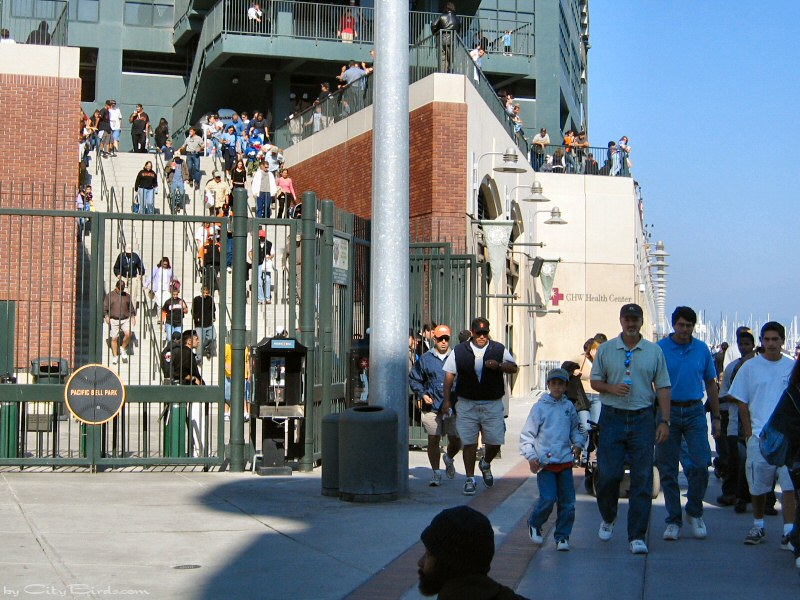View of Pacific Bell Park