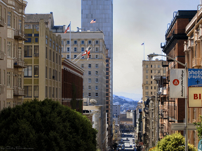 San Francisco Street Scene
