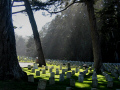 San Francisco National Cemetery -- oldest in the Western U.S.A.