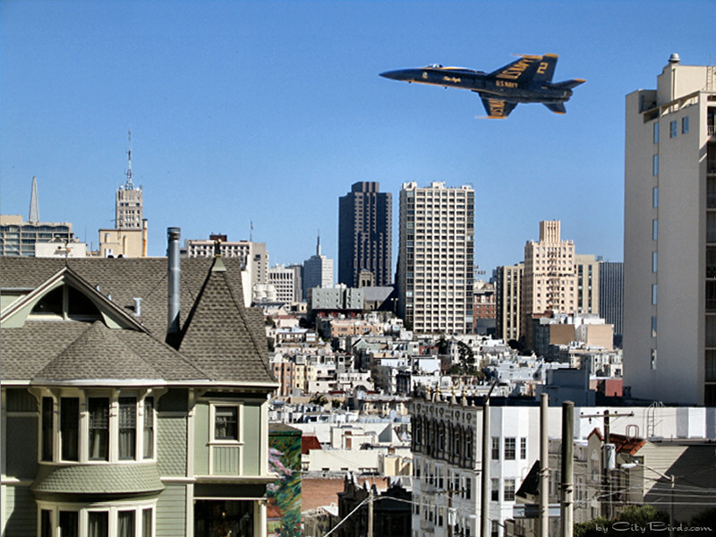 A Blue Angel over San Francisco