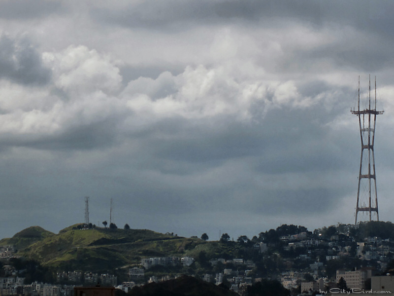 Rain Developing Over Twin Peaks and Mt. Sutro