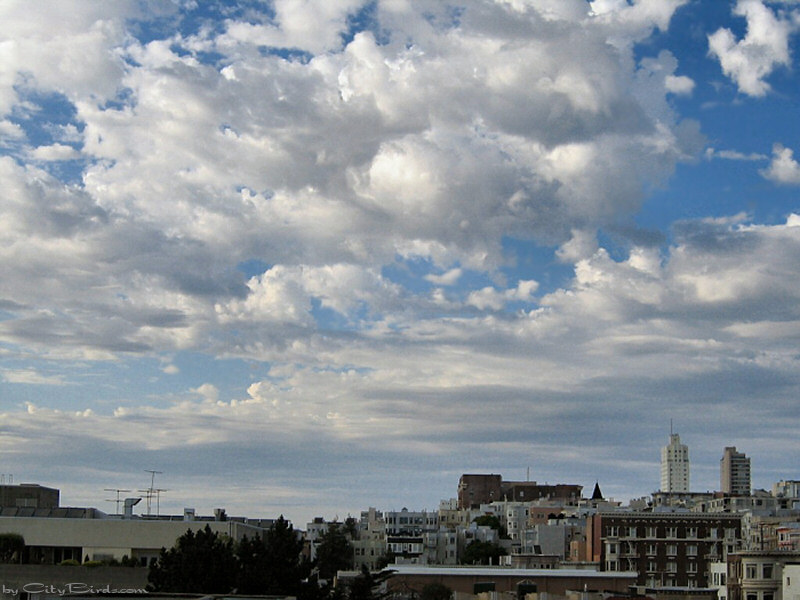 Late Autumn rain clouds, SF
