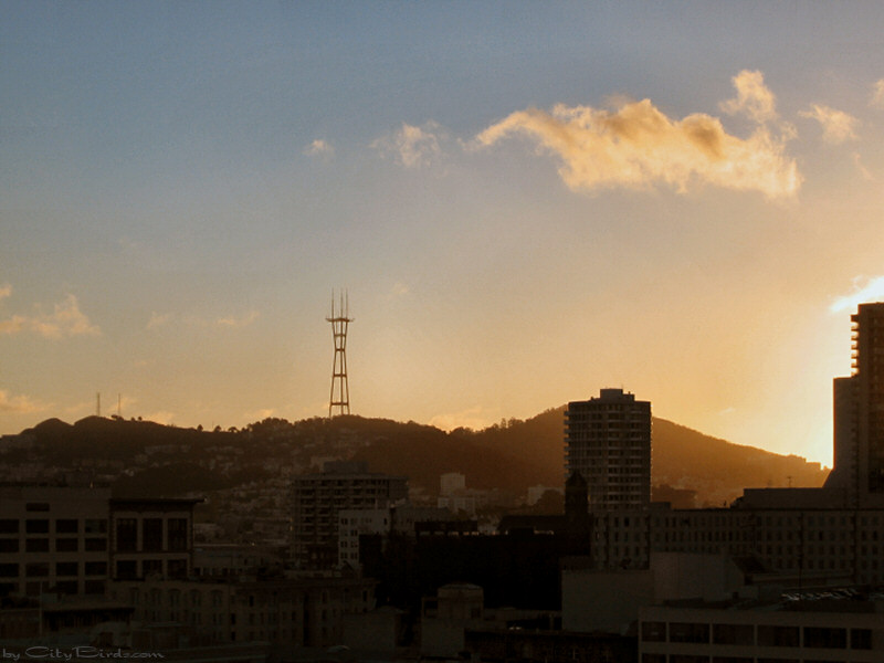 A Winter sunset in San Francisco