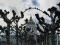 San Francisco City Hall during Winter