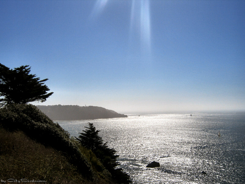 Pacific Coast at the Presidio of San Francisco