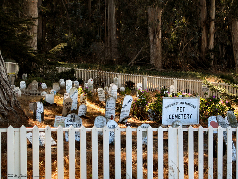 Pet Cemetery at the Presidio of San Francisco