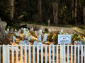 Pet Cemetery at the Presidio