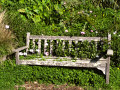 Park Bench at Fort Mason Public Gardens, San Francisco