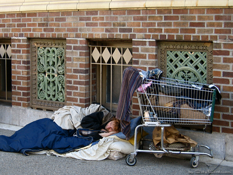 A homeless human's life
