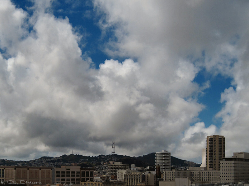 February clouds over San Francisco.