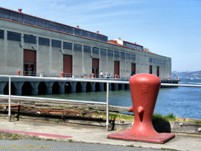 Dock at Fort Mason, San Francisco.  A City Birds digital photo.