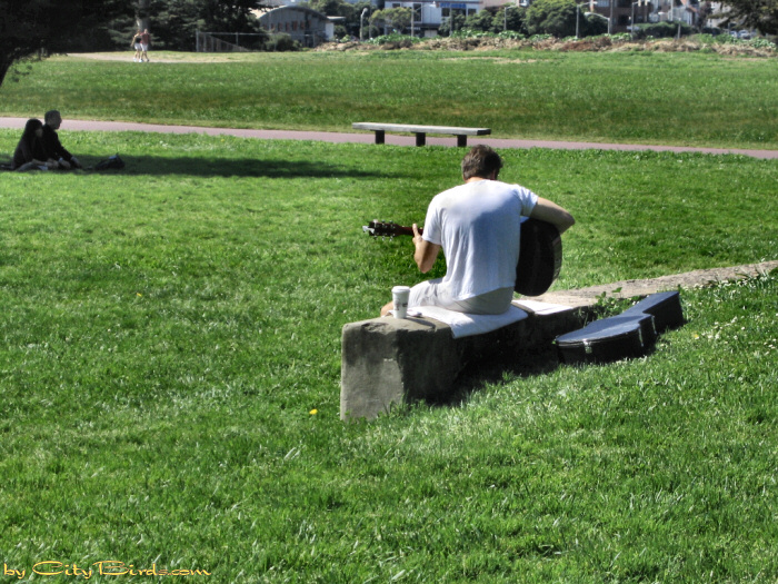 A musician quietly plays his Guitar player at Fort Mason.   A City Birds digital photo.