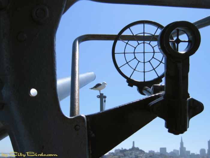 A Gun's cross hairs on the SS Jeremiah O'Brien.   A City Birds digital photo.