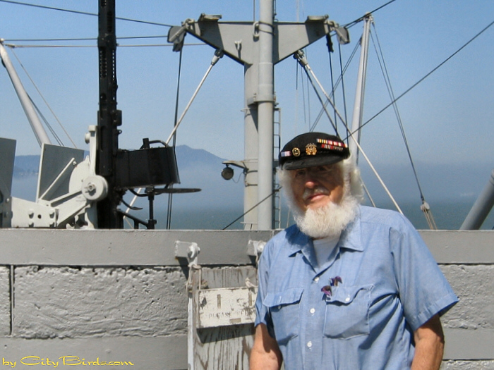 WWII liberty ship veteran.  A City Birds digital photo.