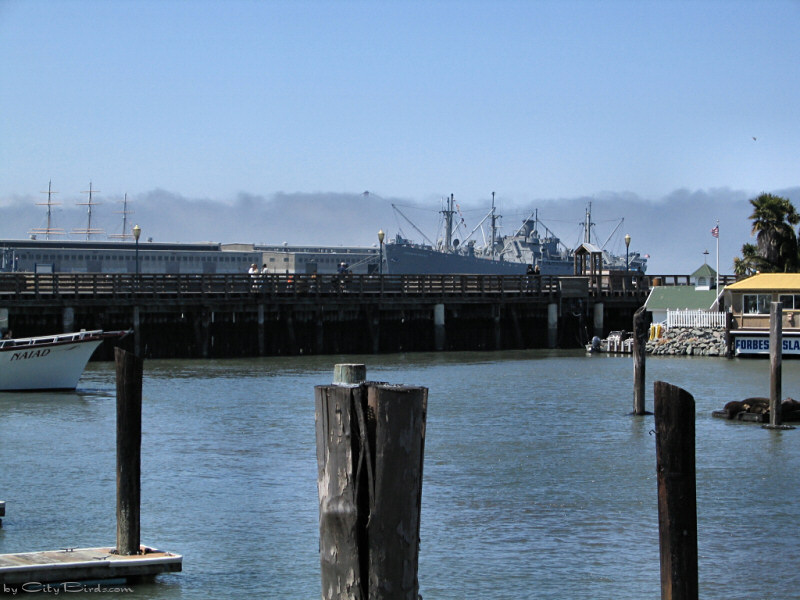 View of Fishermen's Wharf, San Francisco