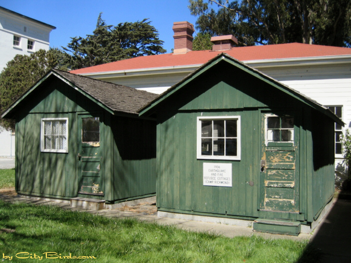 Earthquake cottages.   A City Birds digital photo.