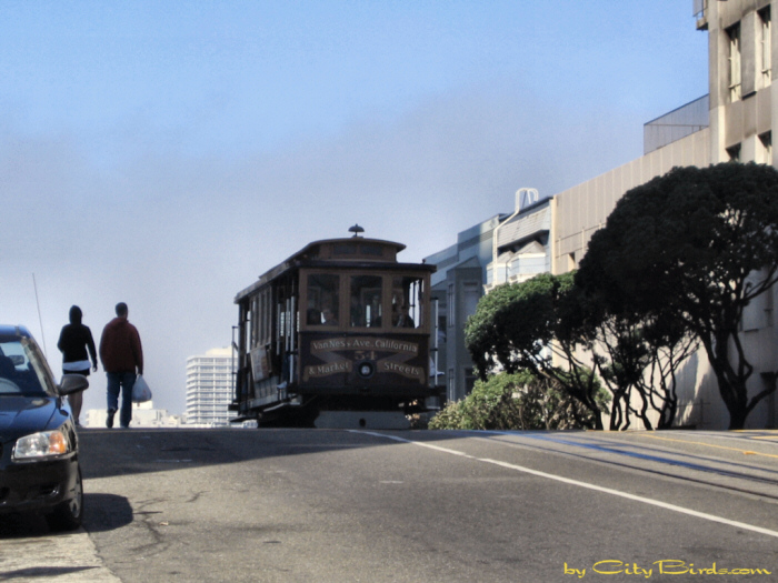 San Francisco Cable Car.   A City Birds digital photo.