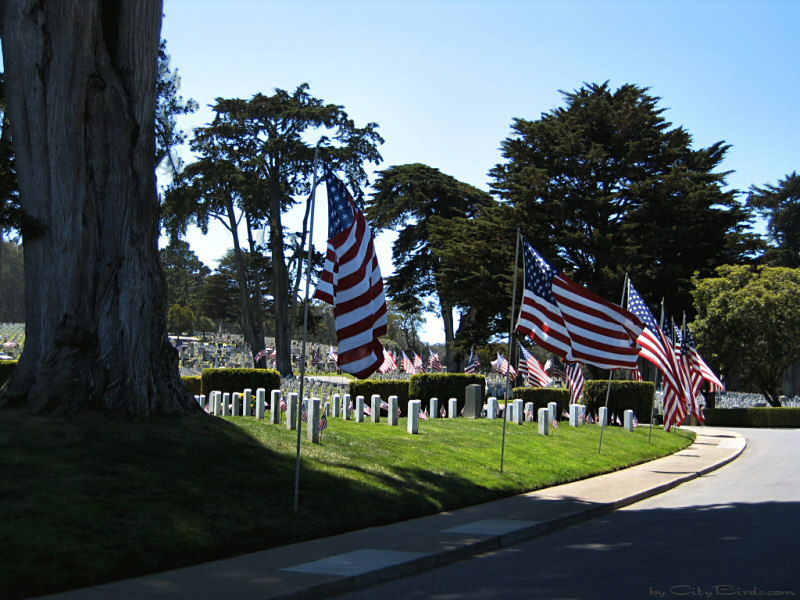 Memorial Day 2004, View One.