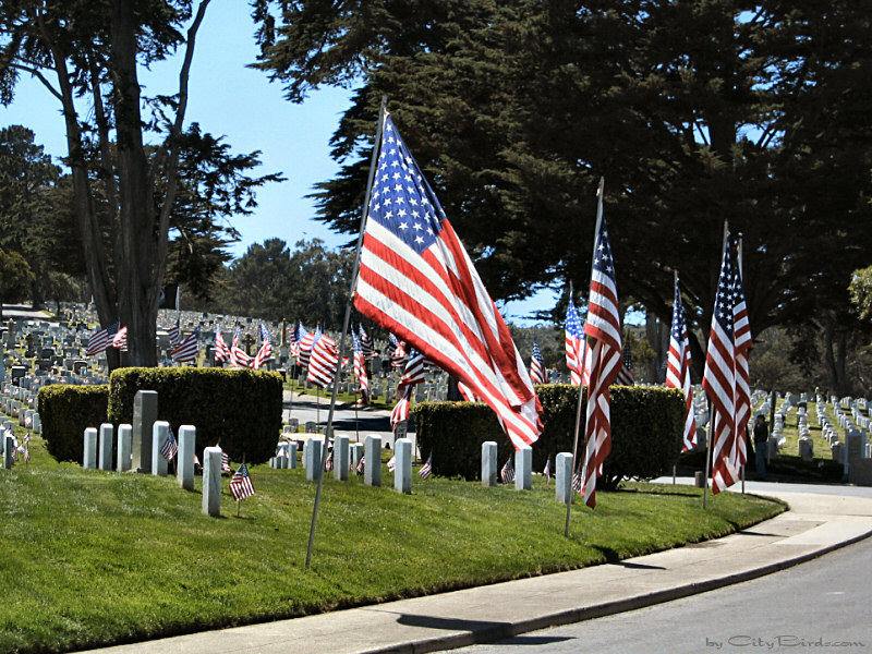San Francisco National Cemetery Memorial Day 2004