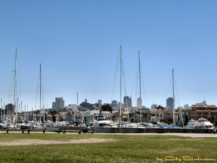 Marina Green in San Francisco.   A City Birds digital photo.