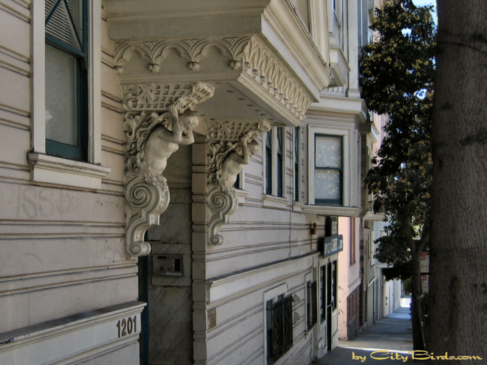 A San Francisco Street Scene.   A City Birds digital photo.